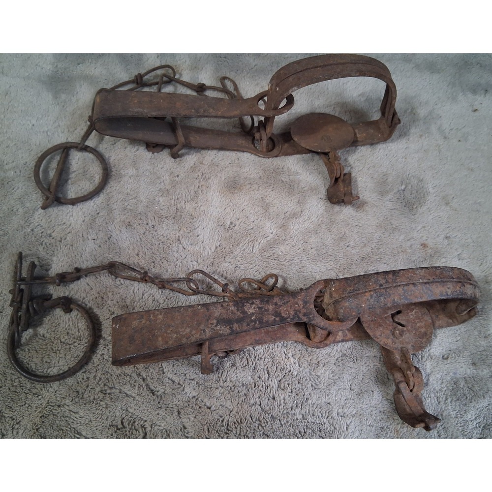 Vtg Mixed Pair Antique Long Spring Leg Traps Rusted Iron Primitive Cabin Victor